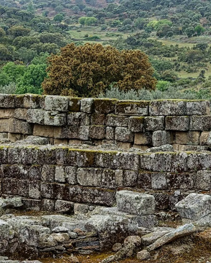 Hautes terres de Vieux-Fort : une autre facette du patrimoine