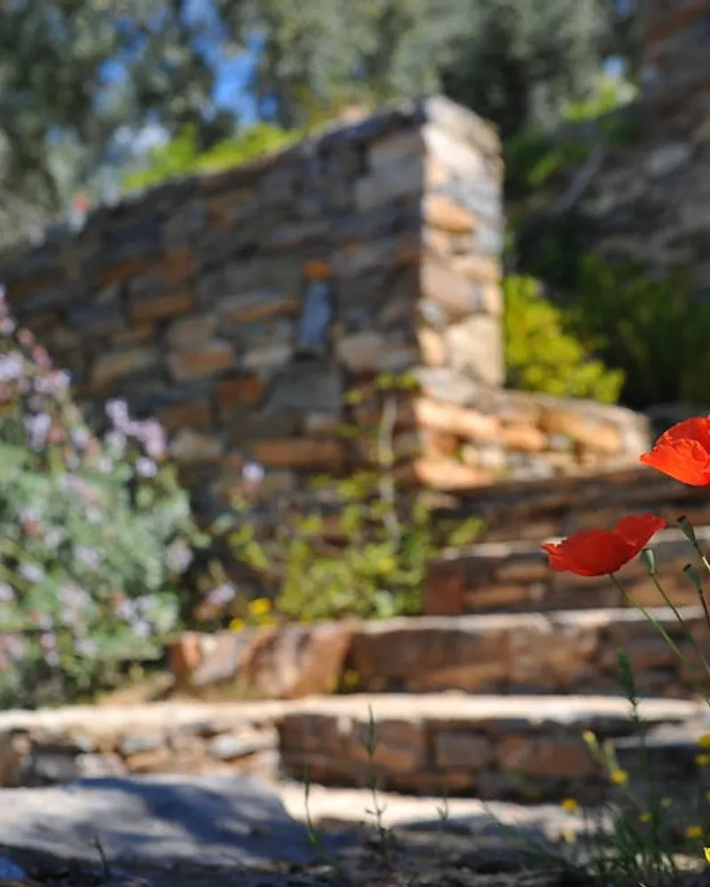 Jardin et espace extérieur à Jarry : embellir votre propriété